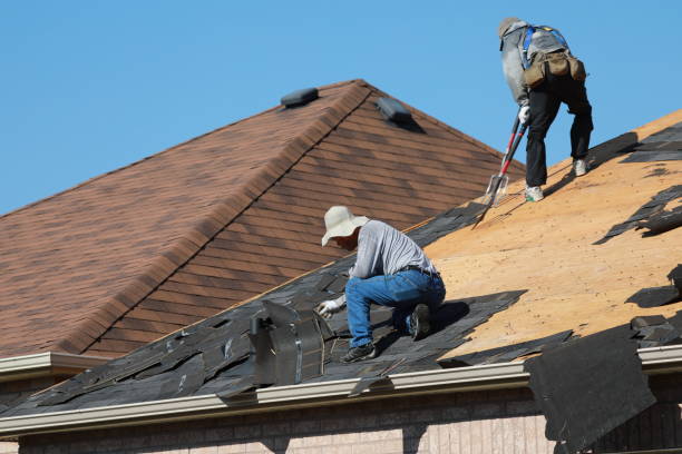 Best Roof Coating and Sealing  in Agler Beach, FL