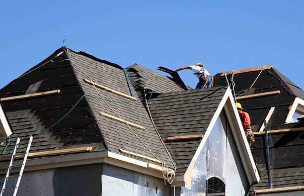 Best Roof Insulation Installation  in Agler Beach, FL